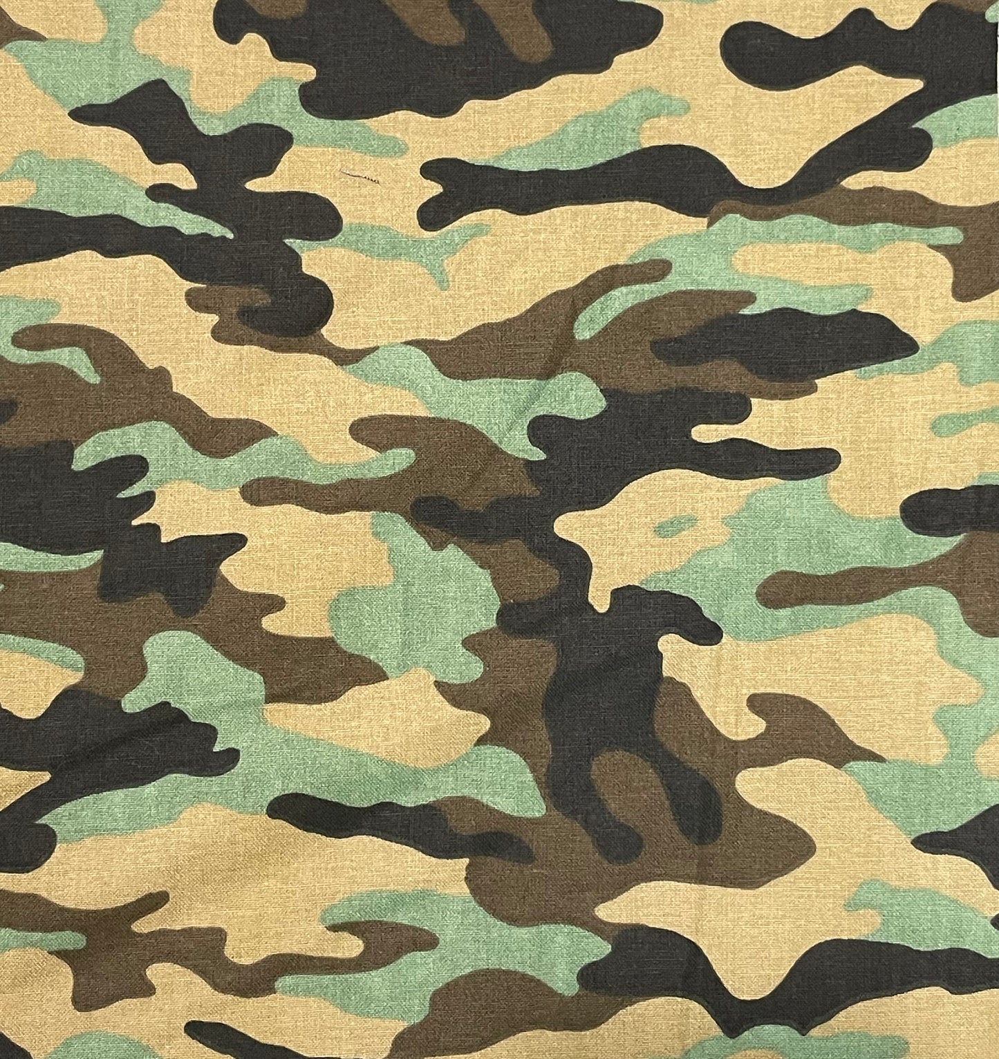 Camo pants