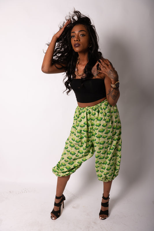 Bohemian Wildflower pants